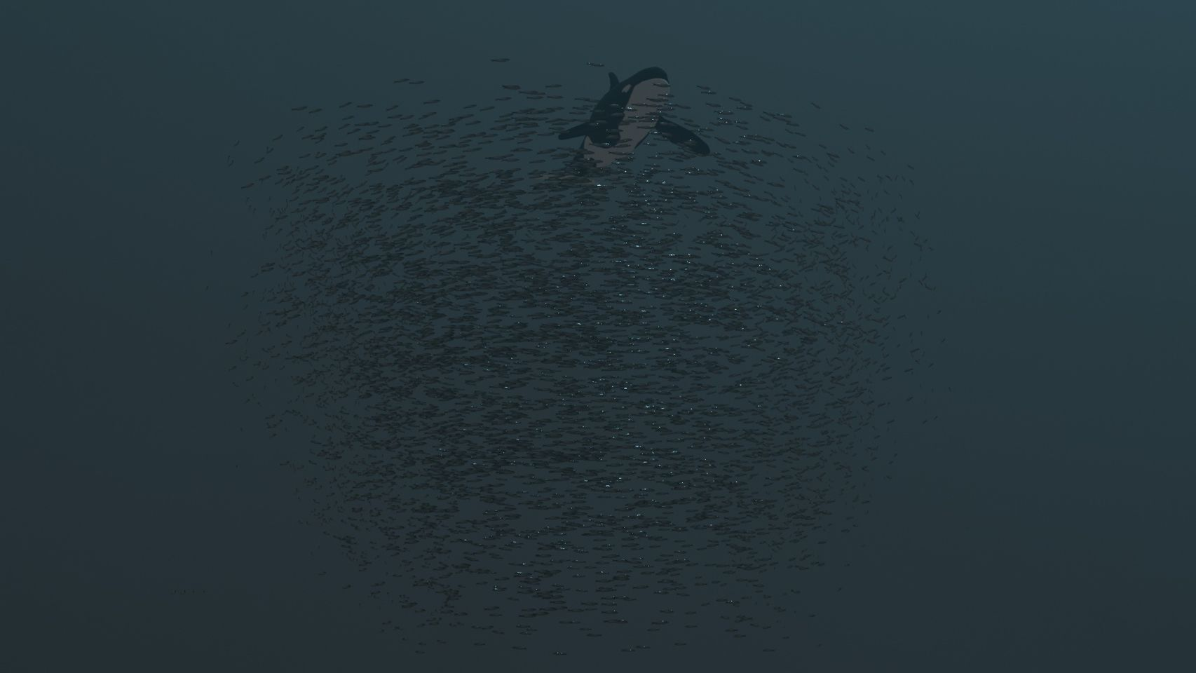 Orca hunting