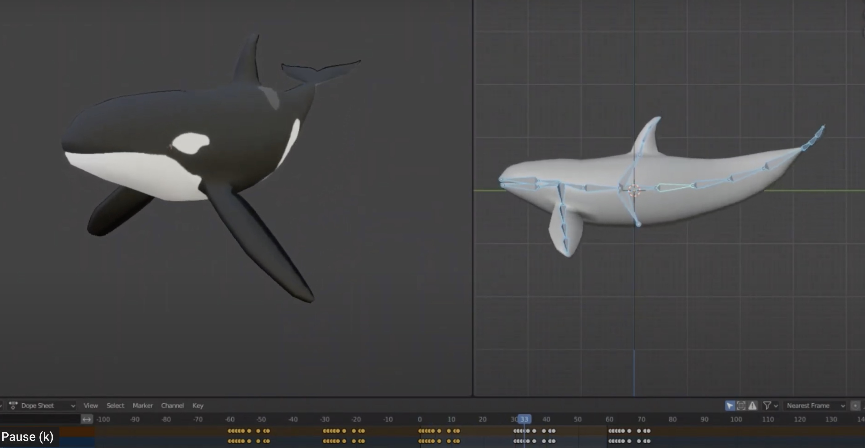 Revisiting the orca model