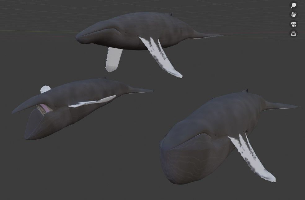 It's a challenge modeling a Humpback Whale