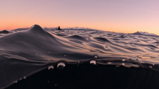 Choose your own adventure: floating style